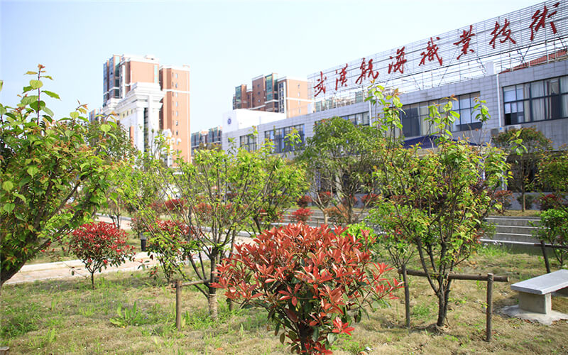 武漢航海職業(yè)技術(shù)學(xué)院關(guān)務(wù)與外貿(mào)服務(wù)專業(yè)在浙江招生錄取分?jǐn)?shù)(綜合)：431分