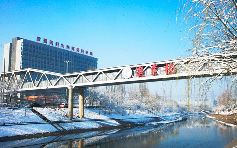 首都醫(yī)科大學臨床醫(yī)學專業(yè)（一 ）錄取分數(shù)線【河北高考物理類】