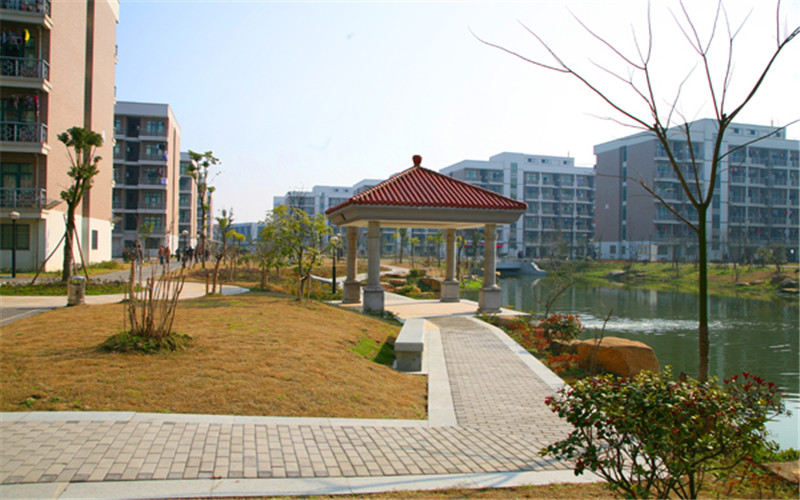 浙江財(cái)經(jīng)大學(xué)東方學(xué)院市場(chǎng)營(yíng)銷專業(yè)錄取分?jǐn)?shù)線【浙江高考綜合】