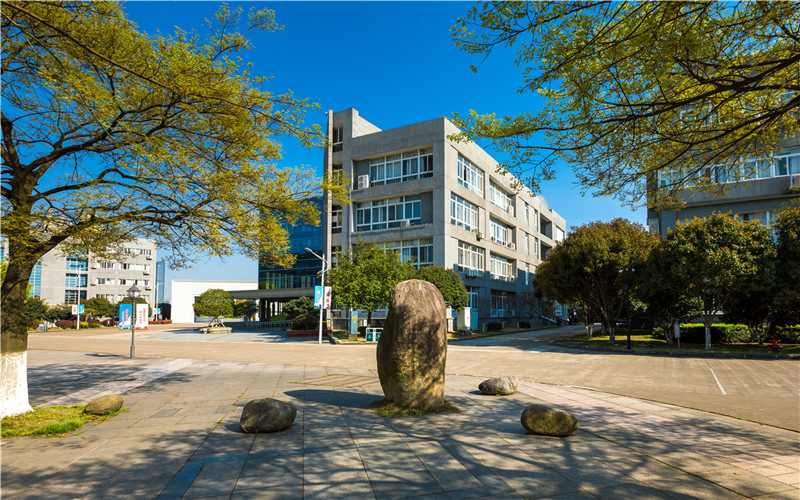 【2023高考參考】寧波城市職業(yè)技術學院2022年浙江招生專業(yè)及招生計劃一覽表