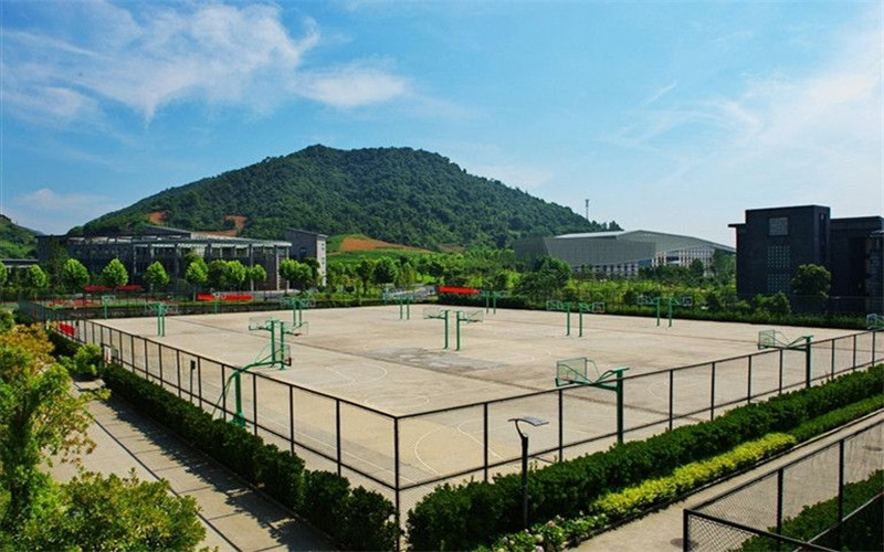2024考生參考：2023杭州科技職業(yè)技術(shù)學(xué)院工業(yè)互聯(lián)網(wǎng)應(yīng)用專業(yè)在浙江招生錄取分數(shù)及錄取位次