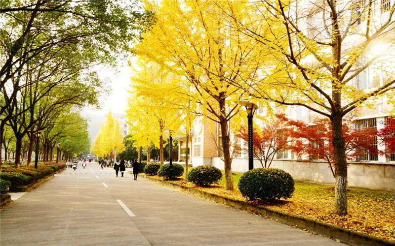 2023年河北考生多少分可以上麗水學院環(huán)境工程專業(yè)？