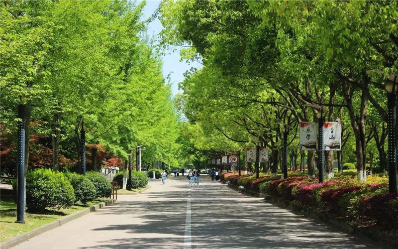 2024考生參考：2023麗水學(xué)院護理學(xué)專業(yè)在河北招生錄取分?jǐn)?shù)及錄取位次