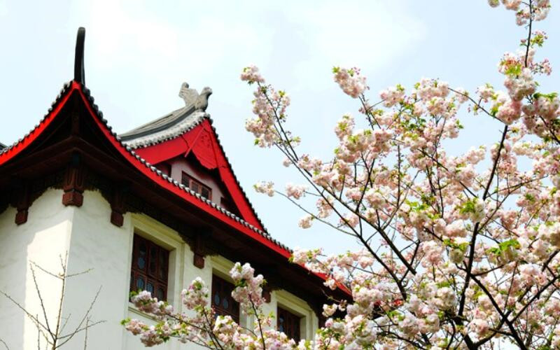 【2024遼寧物理類參考】2023年四川大學(xué)各專業(yè)在遼寧招生分?jǐn)?shù)線匯總