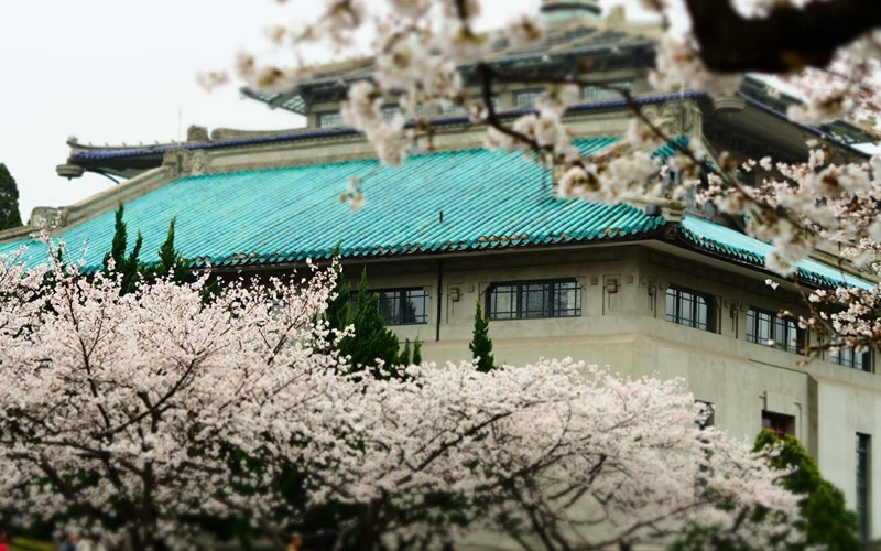 武漢大學(xué)新聞傳播學(xué)類專業(yè)錄取分?jǐn)?shù)線【安徽高考文科】