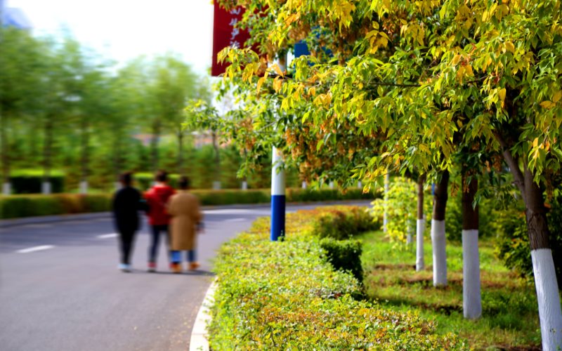 2024考生參考：2023呼倫貝爾職業(yè)技術(shù)學(xué)院旅游管理專業(yè)在河北招生錄取分?jǐn)?shù)及錄取位次