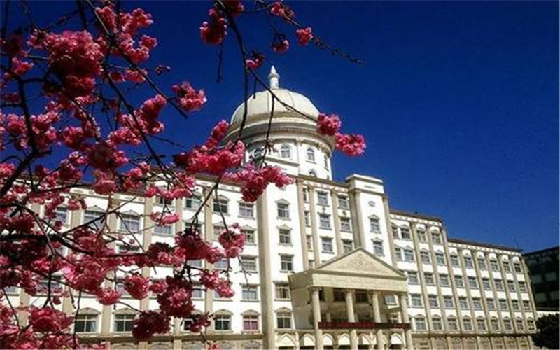 2023年昆明城市學院在云南招生專業(yè)及招生人數(shù)匯總