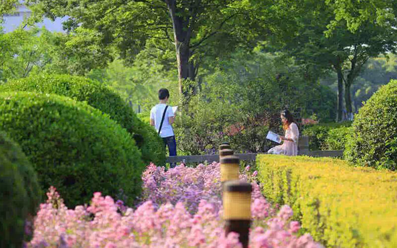 上海大學(xué)信息工程（中外合作辦學(xué)）專業(yè)在浙江招生錄取分數(shù)(綜合)：630分