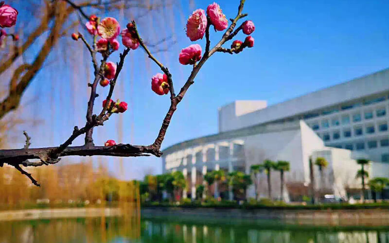 2023年重慶考生多少分可以上上海大學(xué)國際經(jīng)濟(jì)與貿(mào)易（中外合作辦學(xué)）專業(yè)？