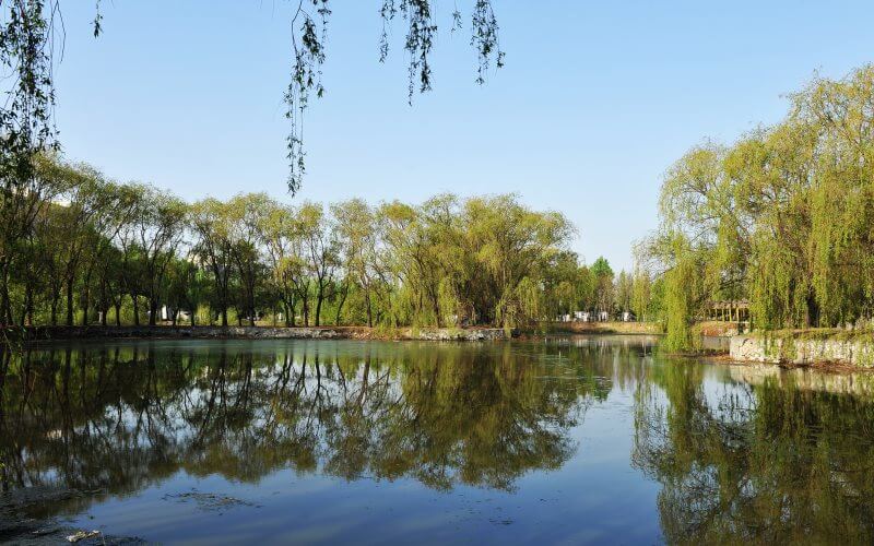 內(nèi)蒙古工業(yè)大學(xué)環(huán)境科學(xué)與工程專(zhuān)業(yè)錄取分?jǐn)?shù)線【天津高考綜合】