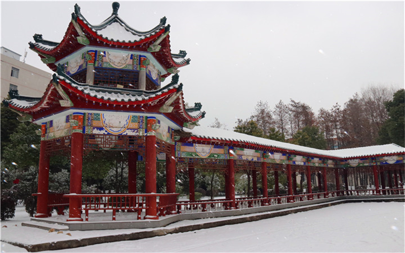 武漢光谷職業(yè)學(xué)院大數(shù)據(jù)與會(huì)計(jì)專業(yè)錄取分?jǐn)?shù)線【河北高考?xì)v史類】