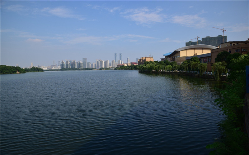2024考生參考：2023華東交通大學理工學院城市軌道交通運營管理專業(yè)在浙江招生錄取分數(shù)及錄取位次