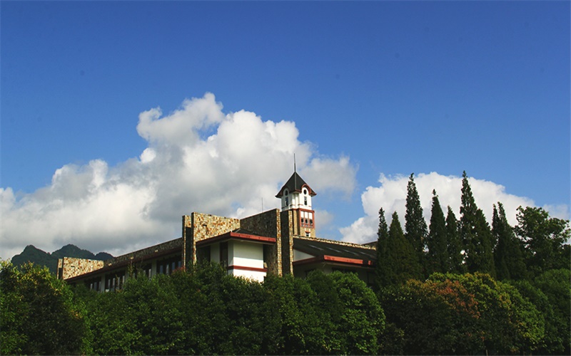 重慶物理類考生排多少名可以上成都東軟學(xué)院軟件技術(shù)專業(yè)?
