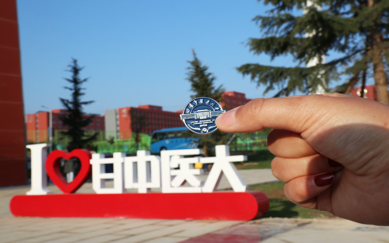 甘肅中醫(yī)藥大學(xué)康復(fù)治療學(xué)專業(yè)在山東招生錄取分?jǐn)?shù)(綜合)：541分