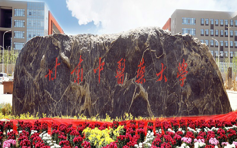 甘肅中醫(yī)藥大學軟件工程專業(yè)在山東招生錄取分數(shù)(綜合)：506分