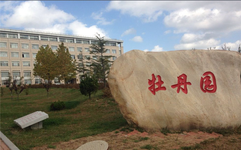 魯東大學思想政治教育（師范類）專業(yè)在山東招生錄取分數(shù)(綜合)：535分