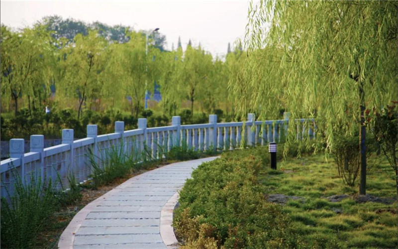 河北物理類考生排多少名可以上江西醫(yī)學(xué)高等?？茖W(xué)校醫(yī)學(xué)生物技術(shù)專業(yè)?