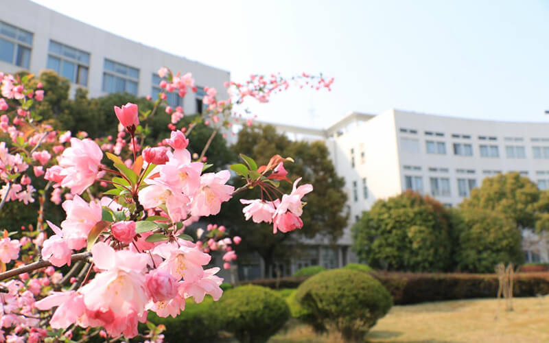 上海第二工業(yè)大學(xué)數(shù)據(jù)科學(xué)與大數(shù)據(jù)技術(shù)專業(yè)在浙江招生錄取分數(shù)(綜合)：603分