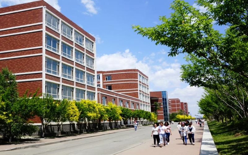 2023年吉林科技職業(yè)技術(shù)學(xué)院在黑龍江招生專業(yè)及招生人數(shù)匯總