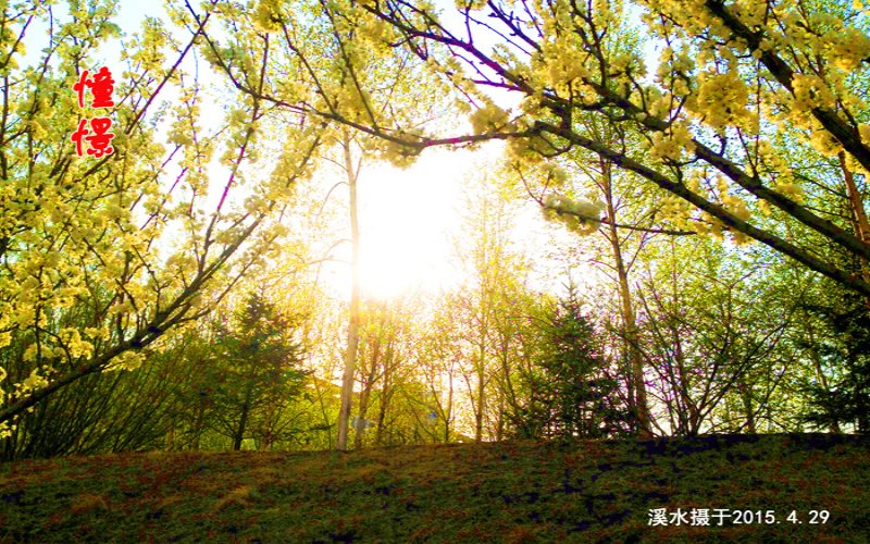 吉林科技職業(yè)技術(shù)學院醫(yī)學美容技術(shù)專業(yè)在河北招生錄取分數(shù)(物理類)：255分
