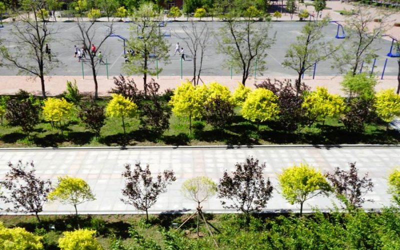 2023年吉林科技職業(yè)技術(shù)學(xué)院在遼寧招生專業(yè)有哪些？學(xué)費(fèi)是多少？