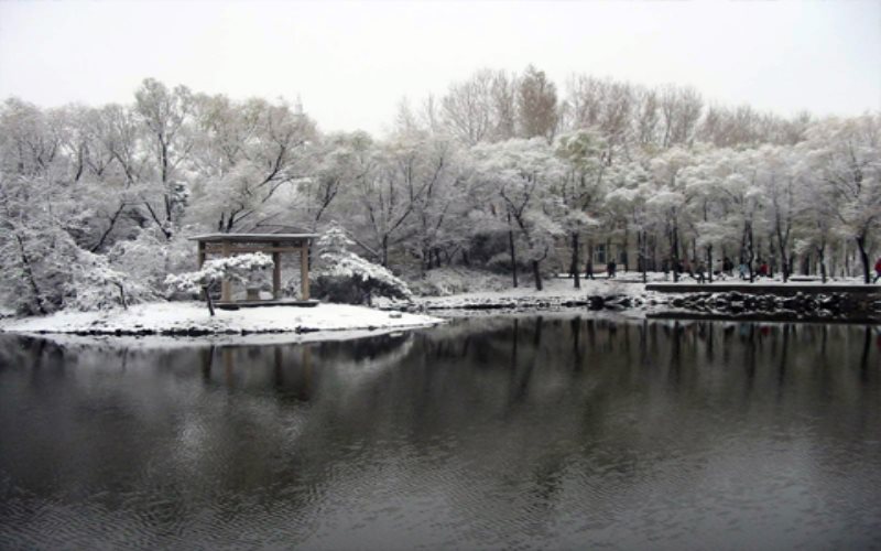 山東綜合考生排多少名可以上長春師范大學人工智能專業(yè)?