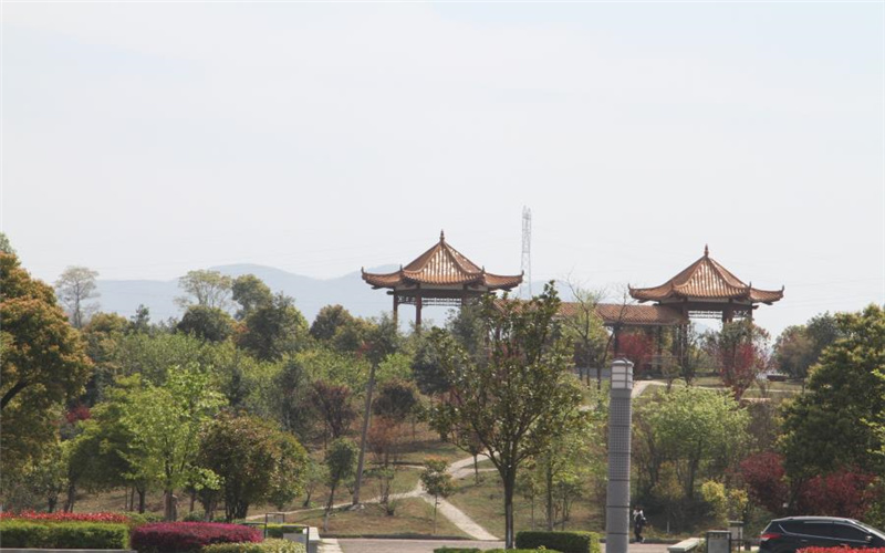 【2024重慶歷史類參考】2023年岳陽職業(yè)技術學院各專業(yè)在重慶招生分數(shù)線匯總