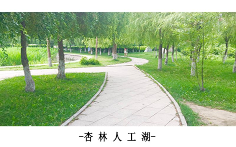遼寧中醫(yī)藥大學(xué)杏林學(xué)院針灸推拿學(xué)專業(yè)錄取分?jǐn)?shù)線【遼寧高考物理類】