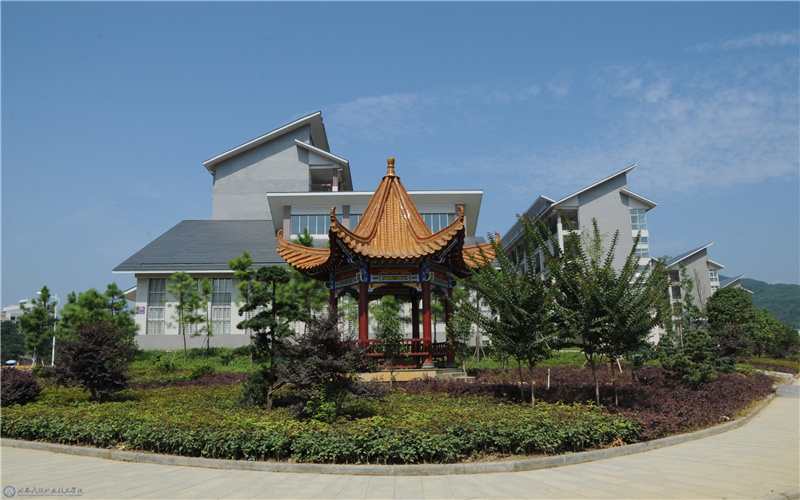 湘西民族職業(yè)技術(shù)學(xué)院動(dòng)漫制作技術(shù)專(zhuān)業(yè)錄取分?jǐn)?shù)線【云南高考理科】