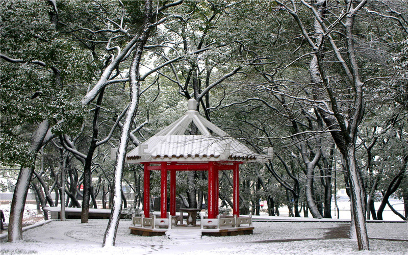 湘潭醫(yī)衛(wèi)職業(yè)技術(shù)學(xué)院護(hù)理專業(yè)（一 ）錄取分?jǐn)?shù)線【云南高考文科】
