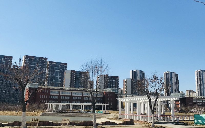 河北歷史類考生排多少名可以上天津濱海職業(yè)學院國際商務專業(yè)?