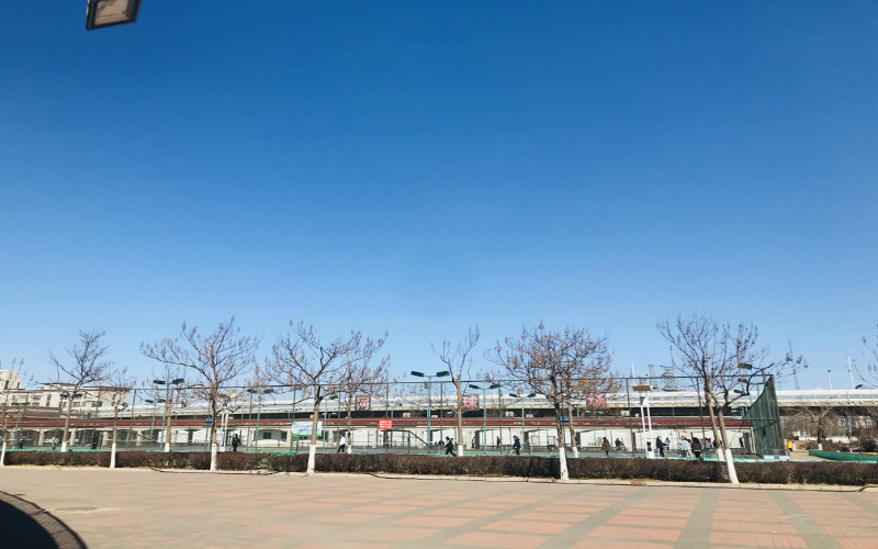 【2023高考參考】天津濱海職業(yè)學院2022年內蒙古招生專業(yè)及招生計劃一覽表