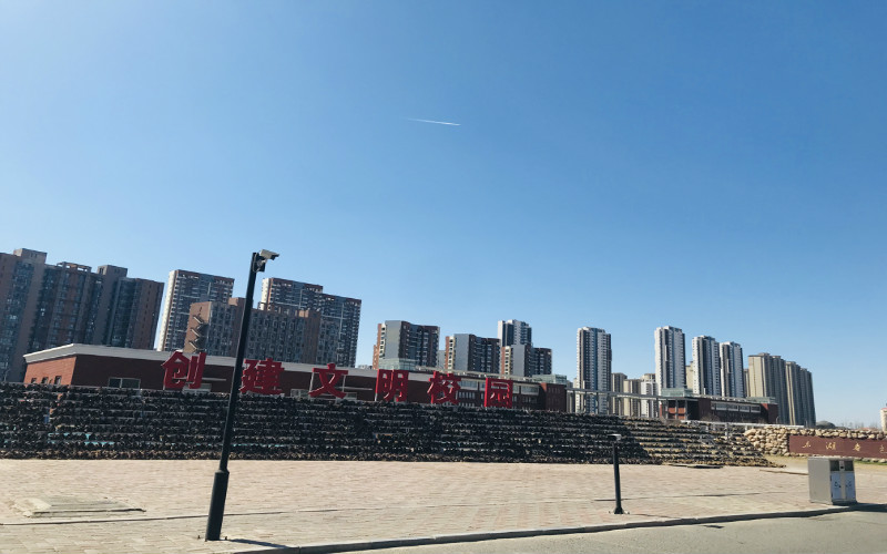 天津?yàn)I海職業(yè)學(xué)院軟件技術(shù)專業(yè)在河北招生錄取分?jǐn)?shù)(歷史類)：460分