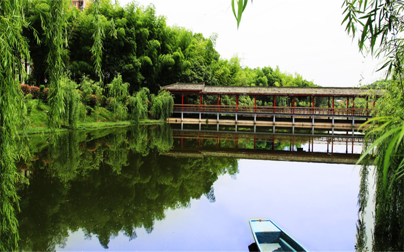 湖南信息學(xué)院國際經(jīng)濟與貿(mào)易專業(yè)錄取分?jǐn)?shù)線【浙江高考綜合】