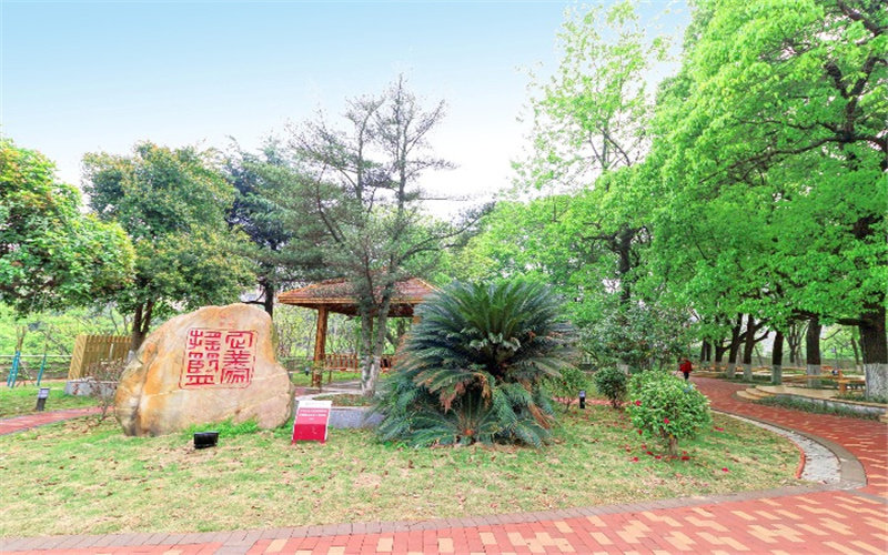 浙江綜合考生排多少名可以上湖南工商大學(xué)會計學(xué)專業(yè)?