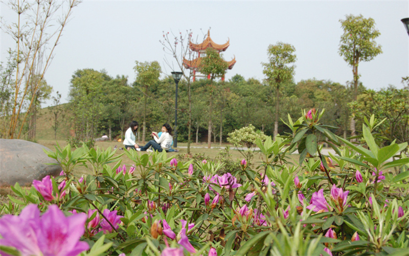 湖南汽車工程職業(yè)學(xué)院大數(shù)據(jù)技術(shù)專業(yè)錄取分?jǐn)?shù)線【山東高考綜合】