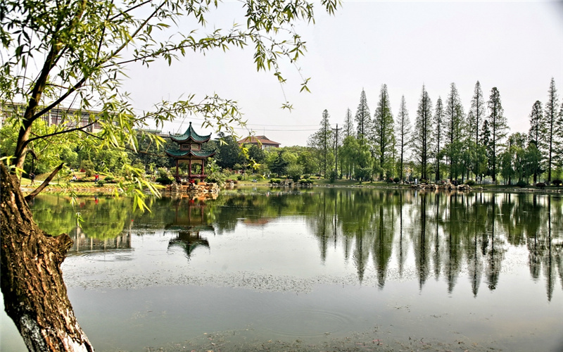湖南農(nóng)業(yè)大學(xué)日語專業(yè)錄取分?jǐn)?shù)線【天津高考綜合】