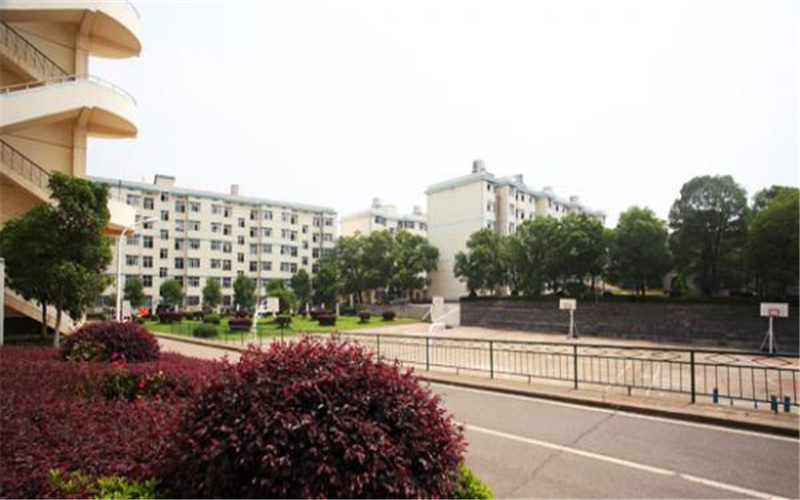 2023年湖南科技職業(yè)學(xué)院在廣西招生專業(yè)有哪些？學(xué)費(fèi)是多少？