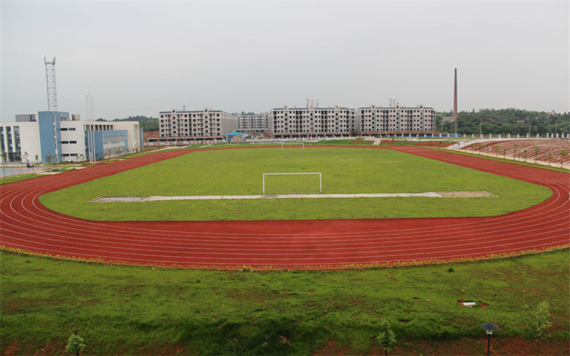 湖南吉利汽車職業(yè)技術(shù)學(xué)院工業(yè)機(jī)器人技術(shù)專業(yè)在河北招生錄取分?jǐn)?shù)(物理類)：307分