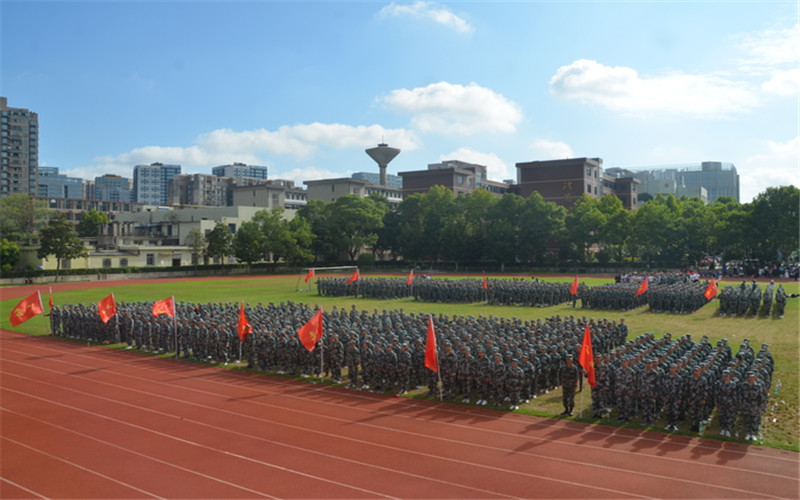 湖南外國(guó)語職業(yè)學(xué)院應(yīng)用外語（葡萄牙語）專業(yè)錄取分?jǐn)?shù)線【廣西高考文科】