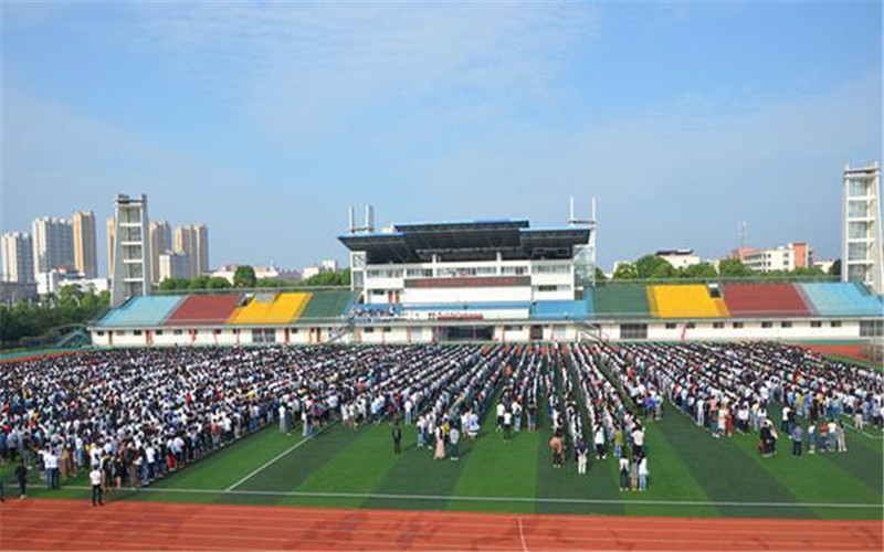 2024年湖南文理學(xué)院芙蓉學(xué)院財務(wù)管理專業(yè)在浙江錄取分?jǐn)?shù)線參考