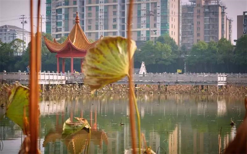 2023年內(nèi)蒙古考生多少分可以上長(zhǎng)沙民政職業(yè)技術(shù)學(xué)院護(hù)理專業(yè)？