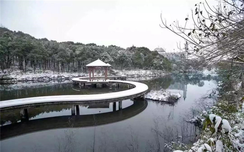 內(nèi)蒙古理科考生排多少名可以上長沙民政職業(yè)技術學院康復治療技術專業(yè)?