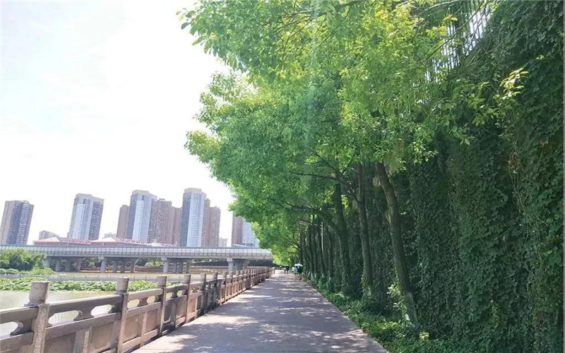 內(nèi)蒙古理科考生排多少名可以上長沙民政職業(yè)技術學院護理專業(yè)?