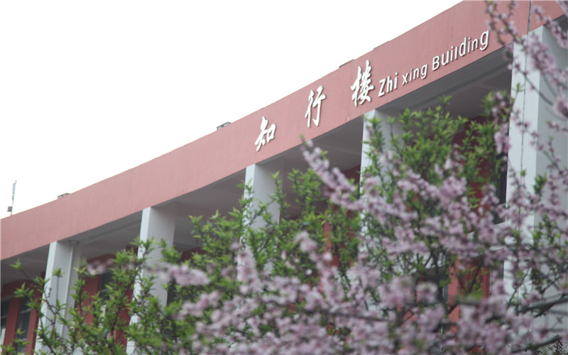 2023年長沙商貿(mào)旅游職業(yè)技術(shù)學(xué)院在重慶招生專業(yè)及招生人數(shù)匯總(2024考生參考)