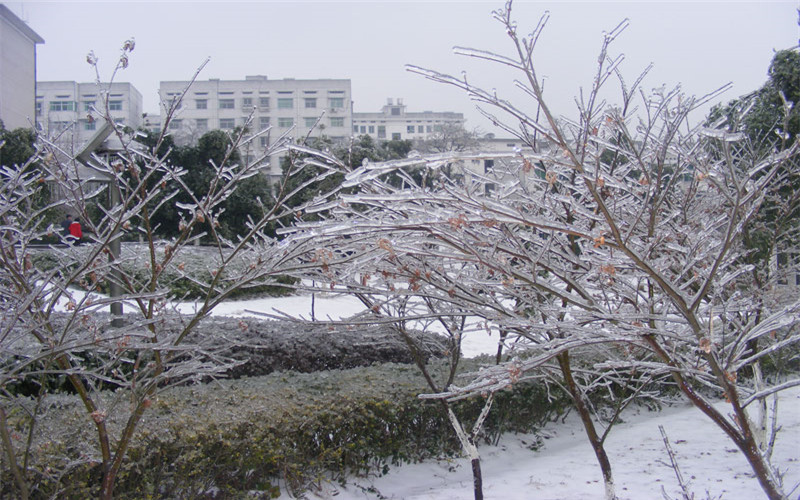 重慶歷史類考生排多少名可以上湖南環(huán)境生物職業(yè)技術(shù)學(xué)院醫(yī)學(xué)美容技術(shù)專業(yè)?