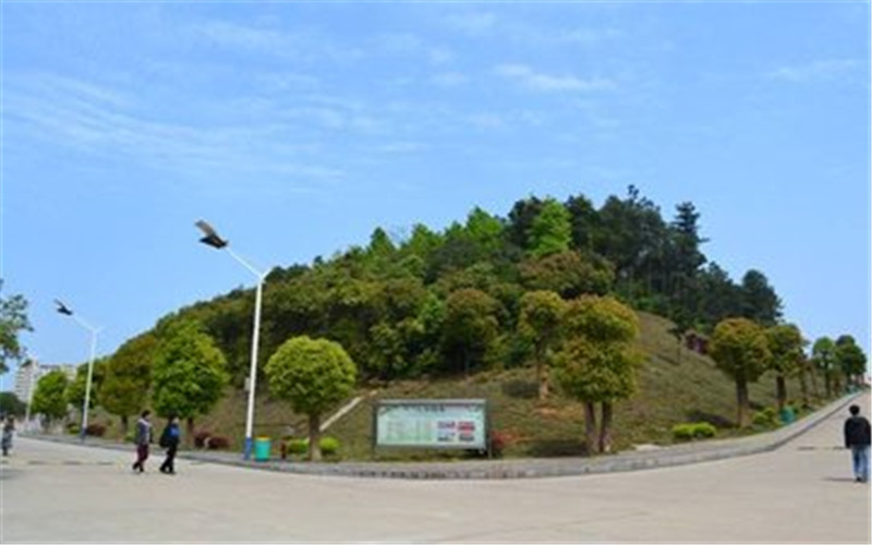 2023年中南林業(yè)科技大學(xué)涉外學(xué)院在湖南招生專業(yè)有哪些？學(xué)費(fèi)是多少？