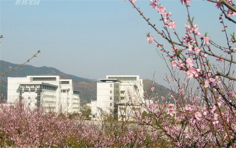 【2023高考參考】安慶師范大學(xué)2022年浙江招生專業(yè)及招生計(jì)劃一覽表