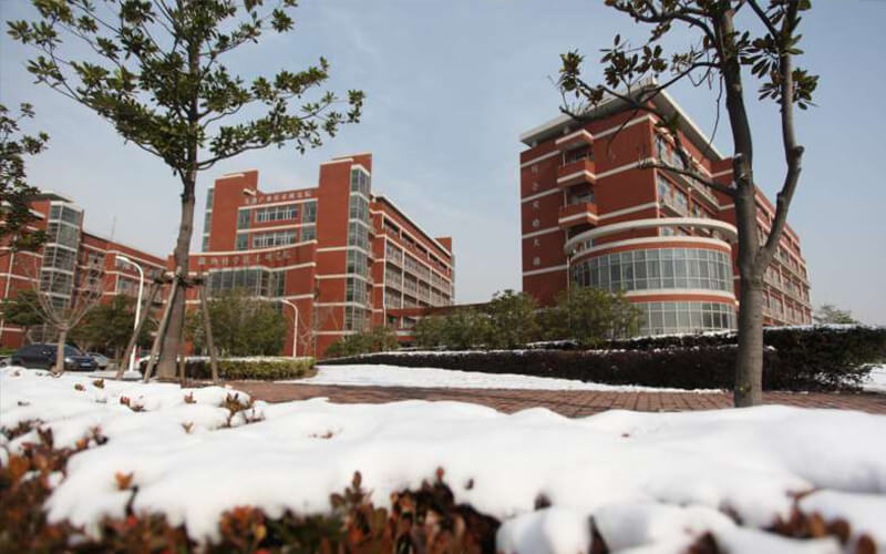 2023年上海交通大學在新疆招生專業(yè)及招生人數(shù)匯總