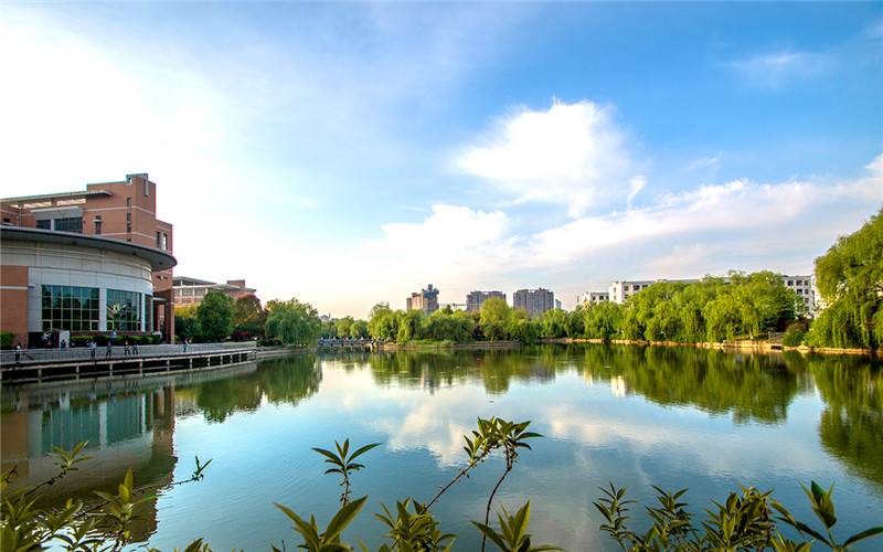 2023年浙江考生多少分可以上滁州學(xué)院工商管理專業(yè)？
